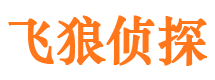 香坊市侦探公司